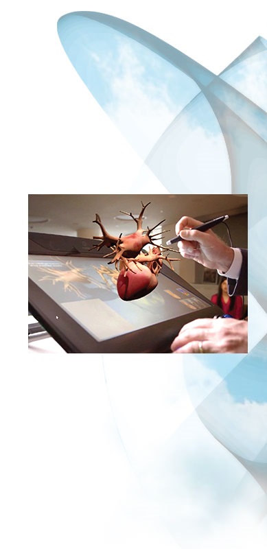 Dassault Systèmes il cuore in 3D